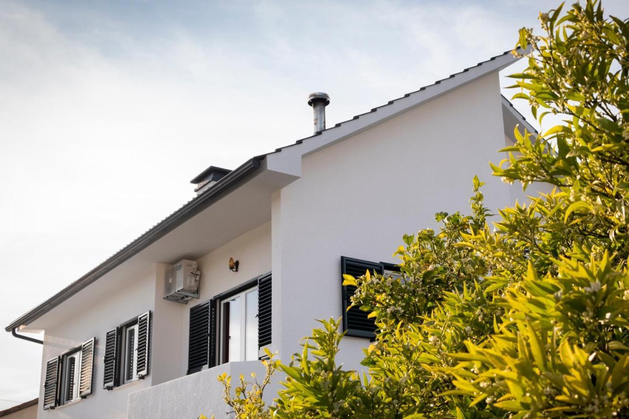 Casa O Limoeiro Διαμέρισμα Ponte de Lima Εξωτερικό φωτογραφία